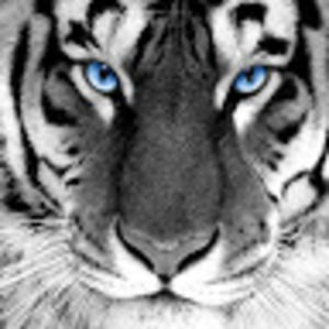 Meet your Posher, Tamara